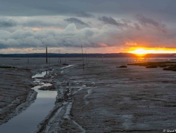 8 - Coucher de soleil au port d'Audenge